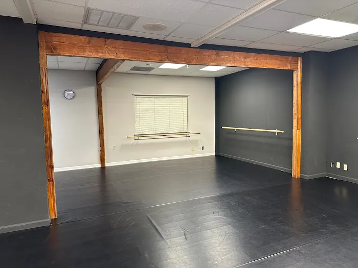 1133 Dance Project Picture 7