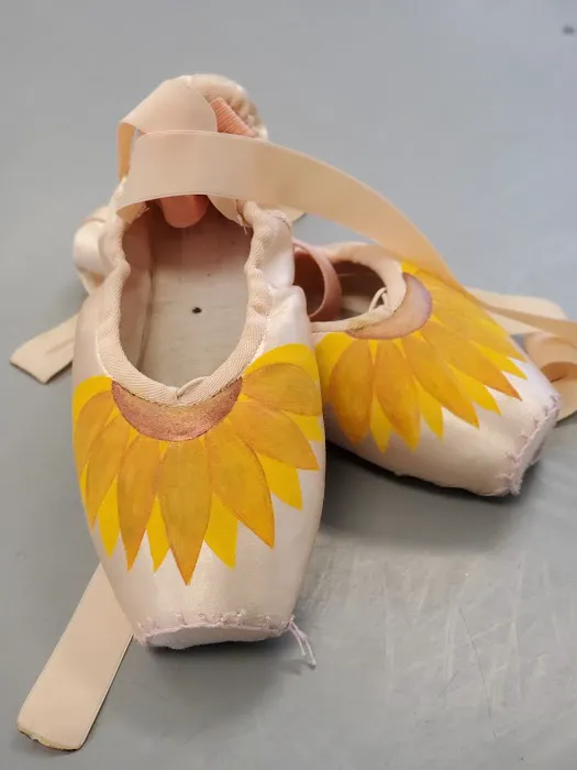 Nevada City Ballet Academy Picture 3