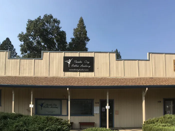 Nevada City Ballet Academy Picture 6