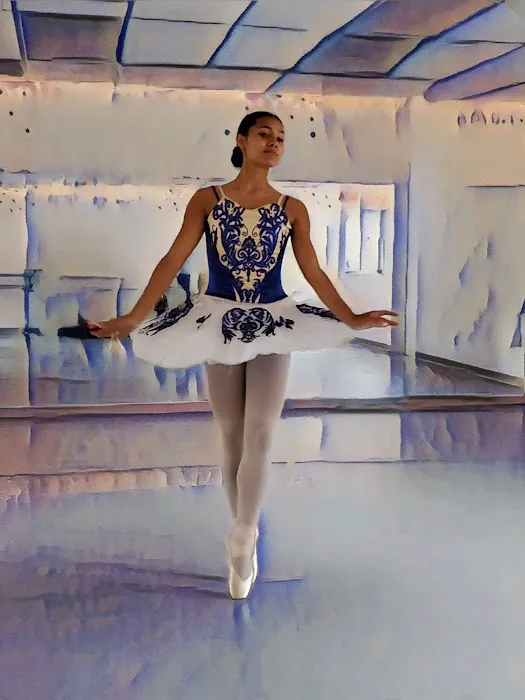 Nevada City Ballet Academy Picture 7