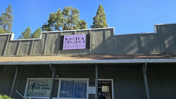 Nevada City Ballet Academy Picture 10