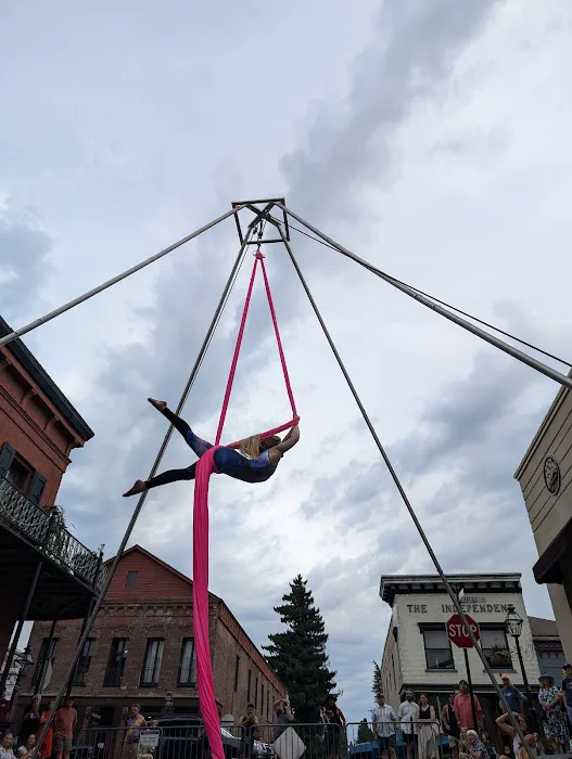 Aerialution - Aerial and Movement Studio Picture 5