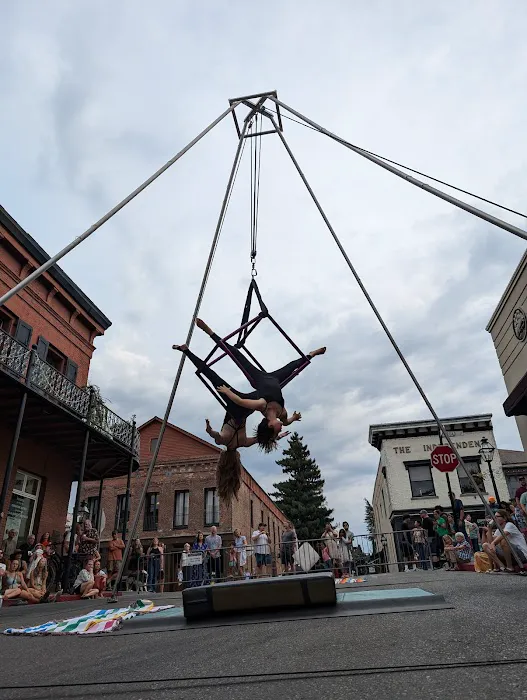 Aerialution - Aerial and Movement Studio Picture 2