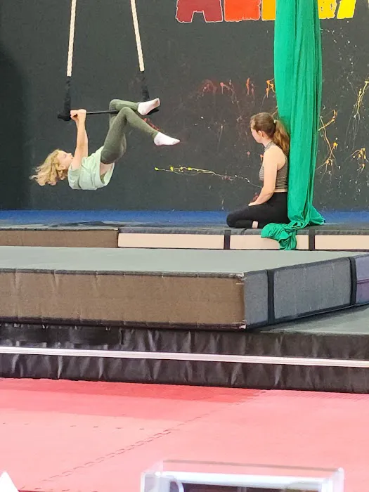 Aerialution - Aerial and Movement Studio Picture 9