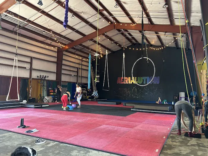 Aerialution - Aerial and Movement Studio Picture 8