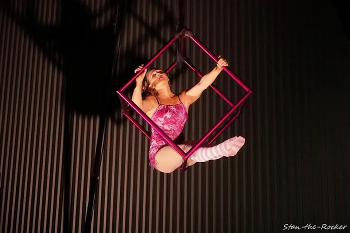 Aerialution - Aerial and Movement Studio Picture 4