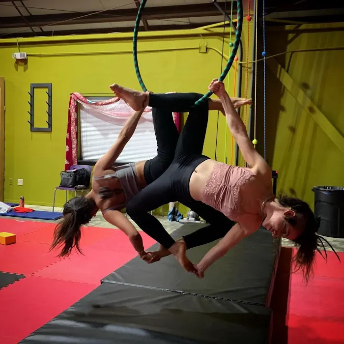 Aerialution - Aerial and Movement Studio Picture 3