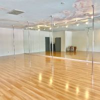 Lifted Pole Fitness ico