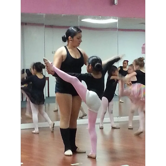 Dance Saute Picture 3