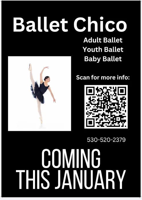 Ballet Chico Picture 5