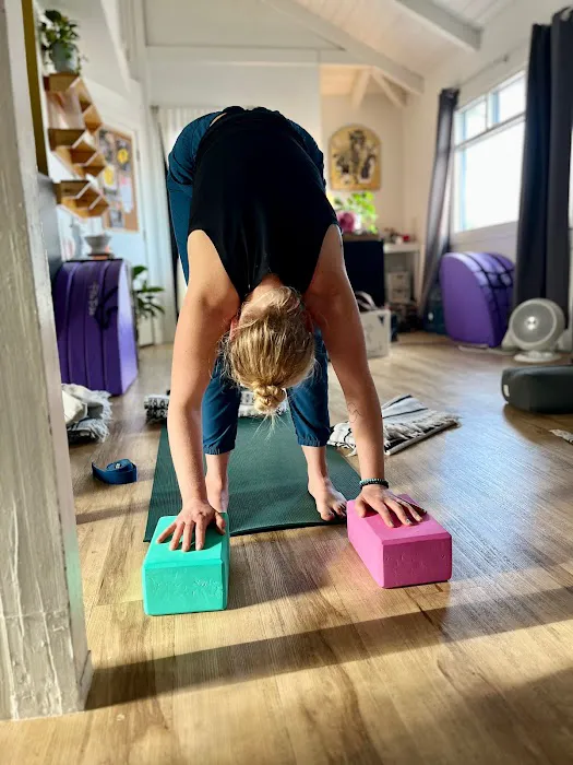 Freebird Yoga Studio Picture 8