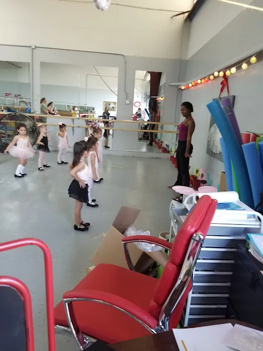 The Academy Of Performing Arts And Fitness Picture 8
