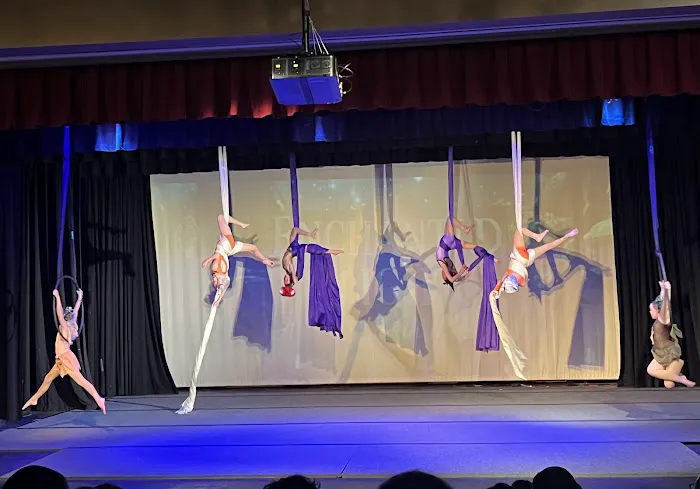 Aspire Aerial Dance & Movement Picture 1