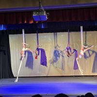 Aspire Aerial Dance & Movement ico