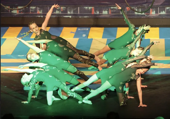 Aspire Aerial Dance & Movement Picture 7