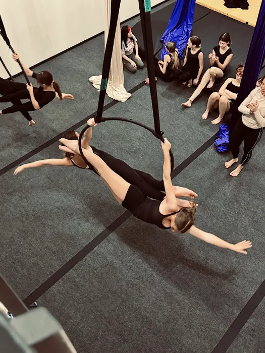 Aspire Aerial Dance & Movement Picture 2