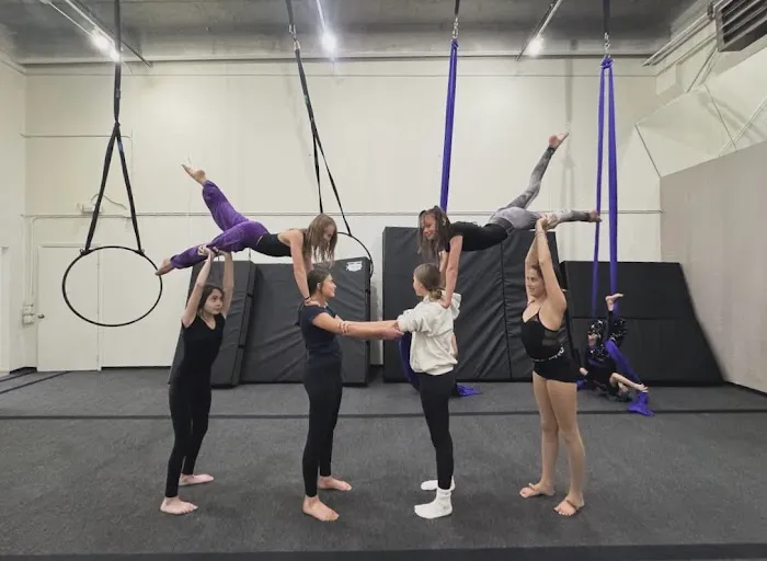 Aspire Aerial Dance & Movement Picture 3