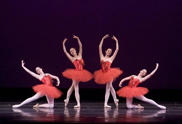 Liv DanceArts, Professional Ballet School Picture 4