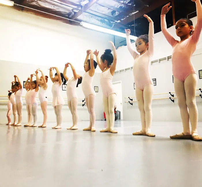 Liv DanceArts, Professional Ballet School Picture 7