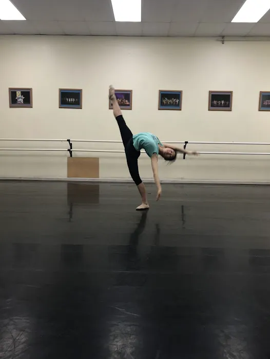 Academy of Chinese Performing Arts (ACPA) Picture 1