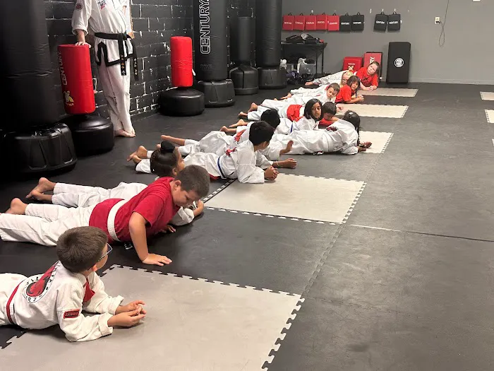 Phoenix Martial Arts Picture 5