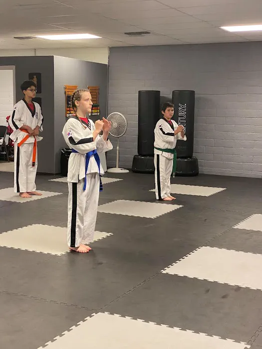 Phoenix Martial Arts Picture 4