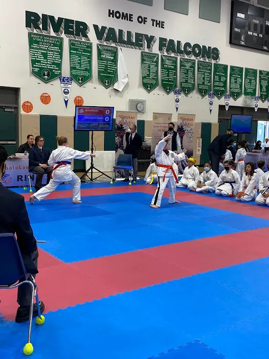 Phoenix Martial Arts Picture 6