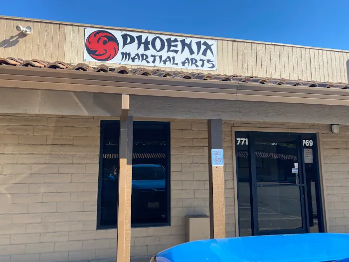 Phoenix Martial Arts Picture 7