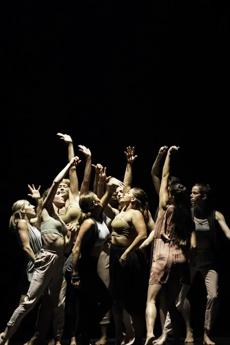 Jacksonville Dance Theatre Picture 1