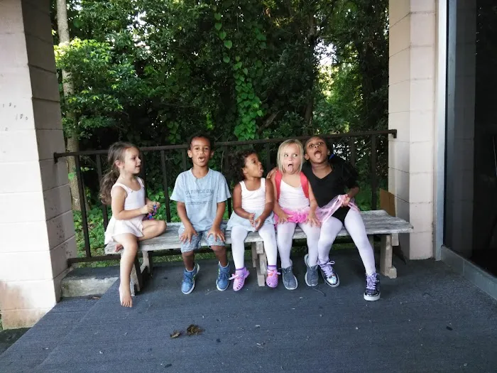 Picus Dance Academy Picture 1