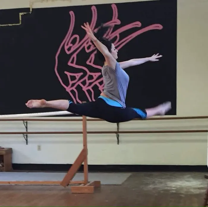 Picus Dance Academy Picture 3