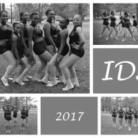 Indulgence Dance Studio ico