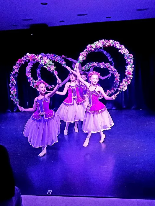 East Coast Ballet Jacksonville Picture 8