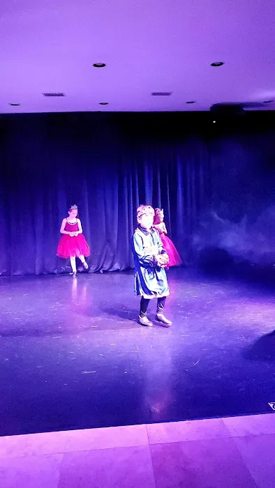 East Coast Ballet Jacksonville Picture 9