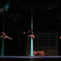 Dynamics Dance Inc. ico
