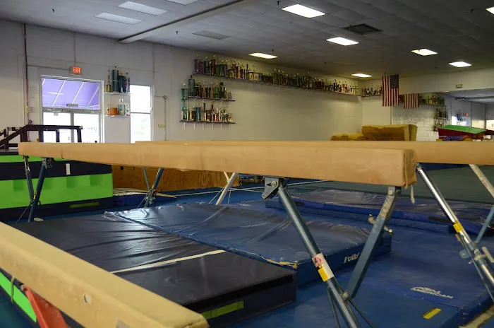 Gyminators Gymnastics-Tumbling Picture 8