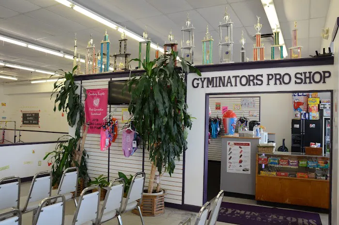 Gyminators Gymnastics-Tumbling Picture 3