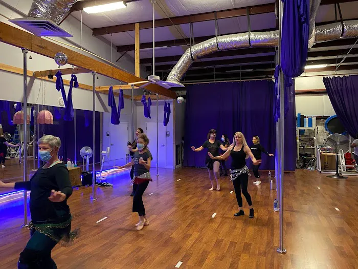 Anais Belly Dance Studio Picture 1