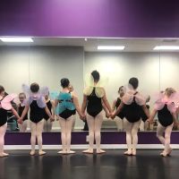 Middleburg Academy of Dance ico