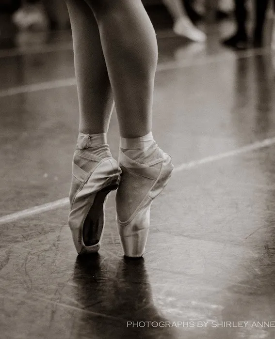 Mark Spivak's Institute and Dance Extension Picture 7