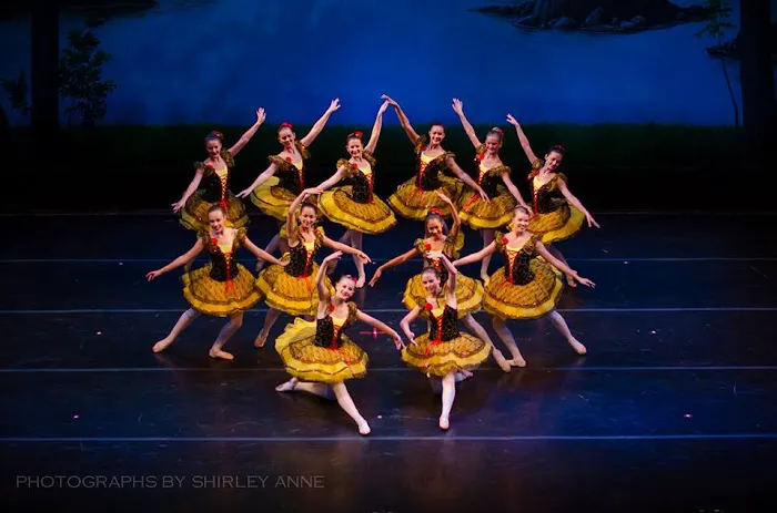 Mark Spivak's Institute and Dance Extension Picture 6