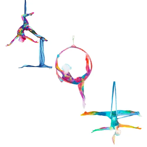Jax Beach Aerial Arts Picture 8