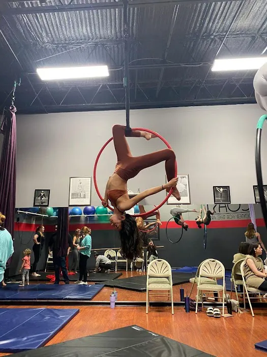 Jax Beach Aerial Arts Picture 10