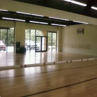 Dansations Performing Arts Center ico
