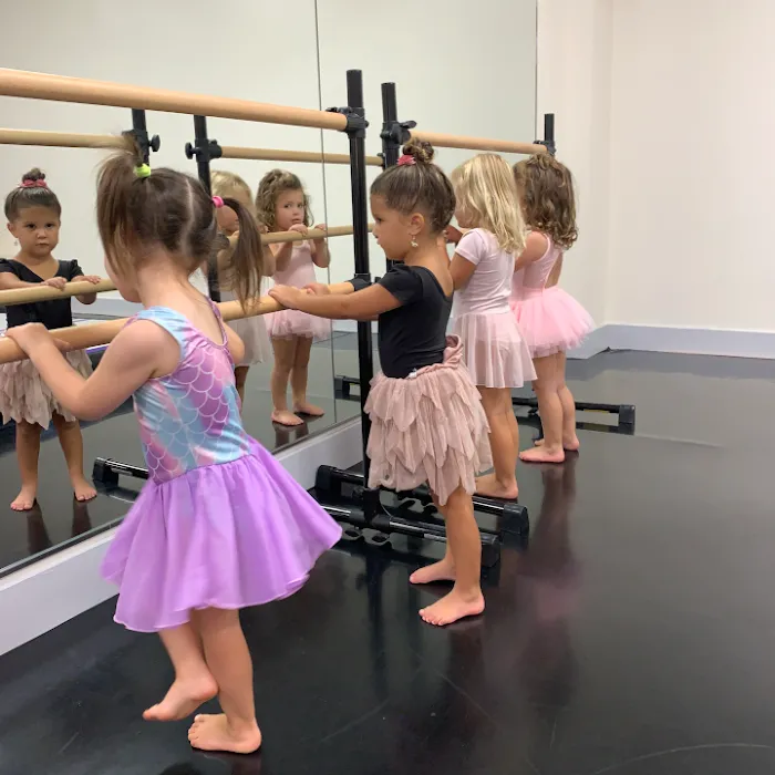 B.L.A. Dance Academy Picture 5