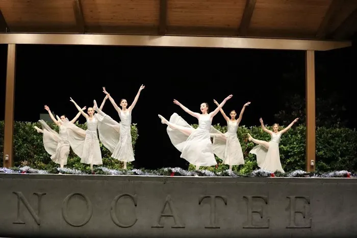 Grace Conservatory of Dance Picture 4