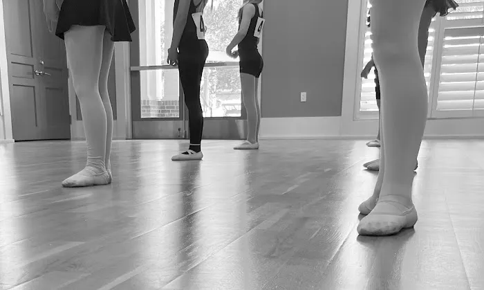 The Dance Connection Picture 4