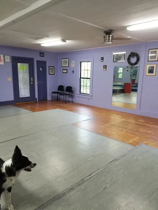 Anita's Dance Studio Picture 4