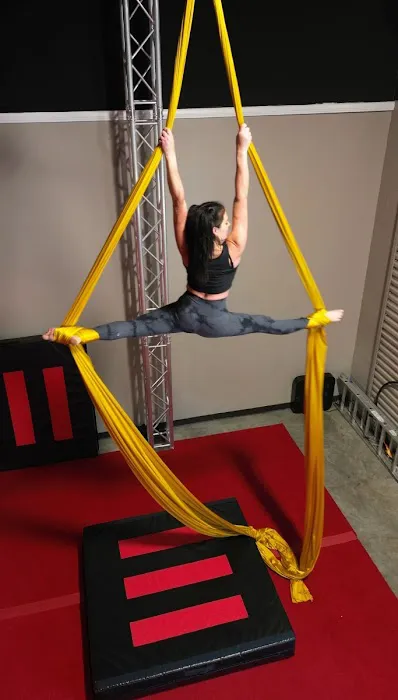 Ancient City Aerial Arts Picture 9
