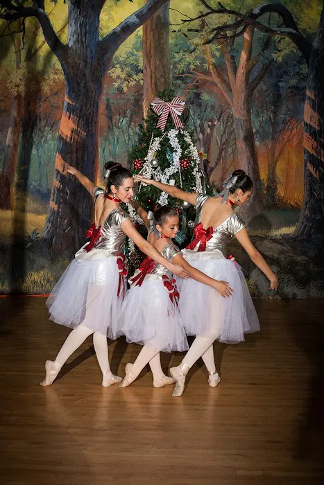 Academy of Dance Picture 2